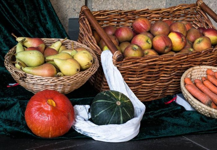 Panier fruits et légumes en circuit court pour 1 personne à lyon : guide pratique pour bien choisir