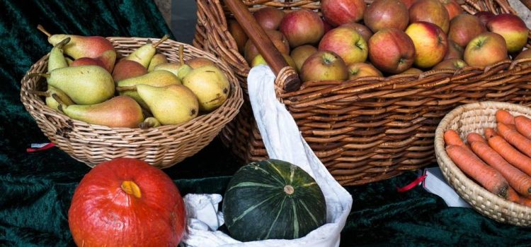 Panier fruits et légumes en circuit court pour 1 personne à lyon : guide pratique pour bien choisir