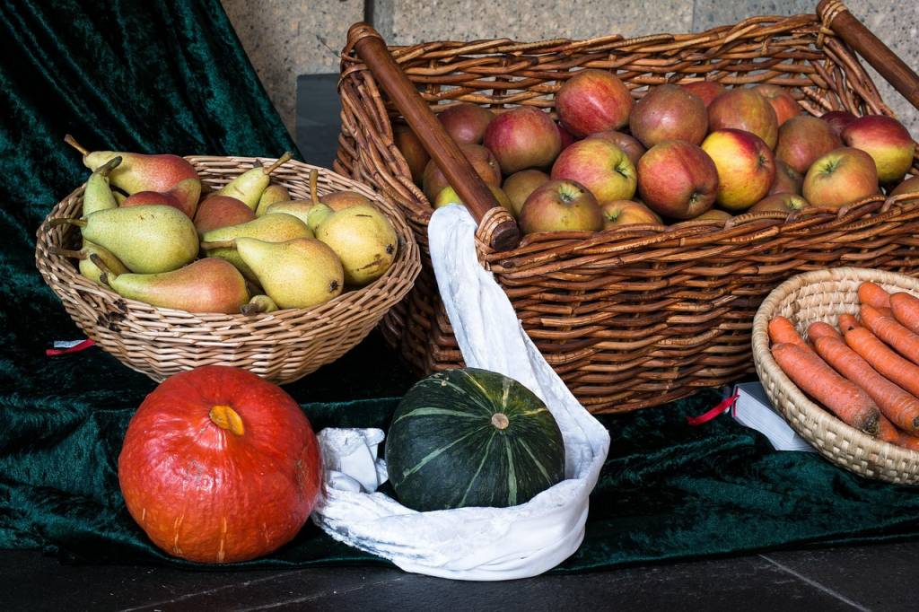 Panier fruits et légumes en circuit court pour 1 personne à lyon : guide pratique pour bien choisir